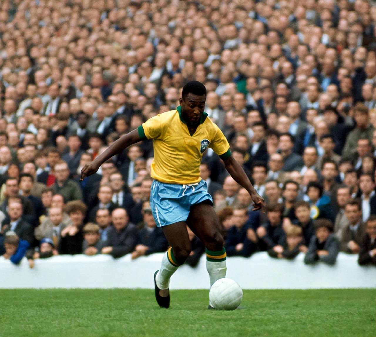 外界自然会 外界自然会