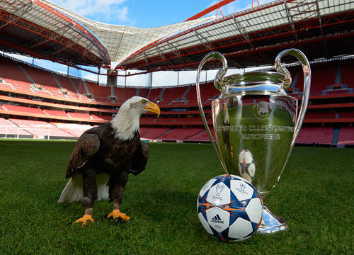 失望难免 失望难免